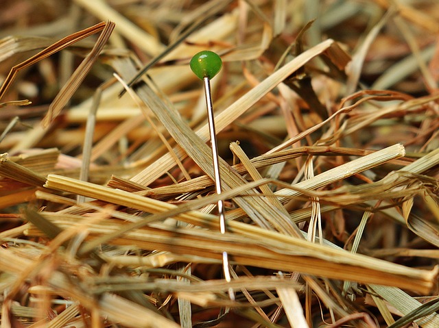 needle in a haystack 1752846 640